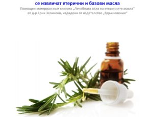 Речник на наименованията на растенията