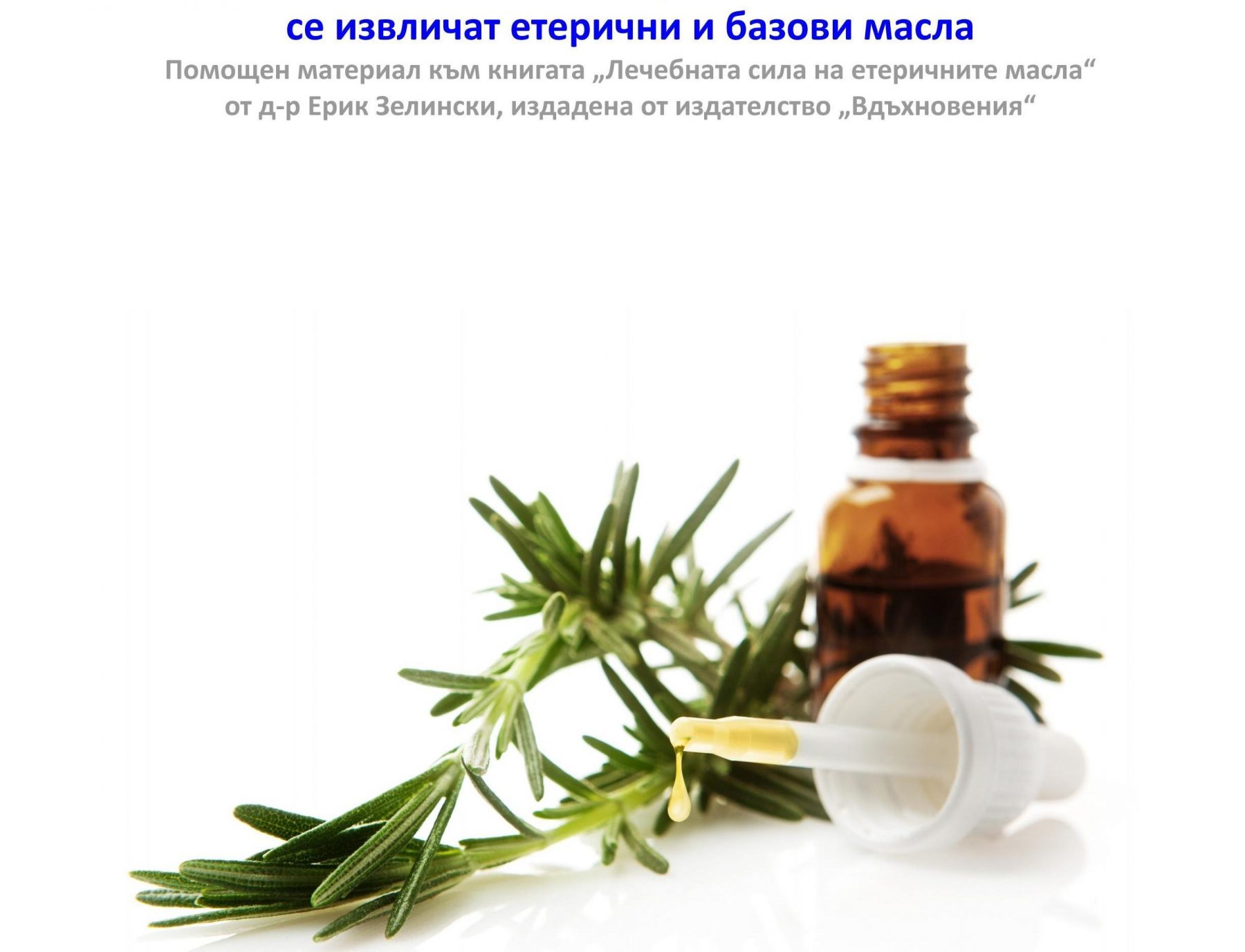Безплатен триезичен речник