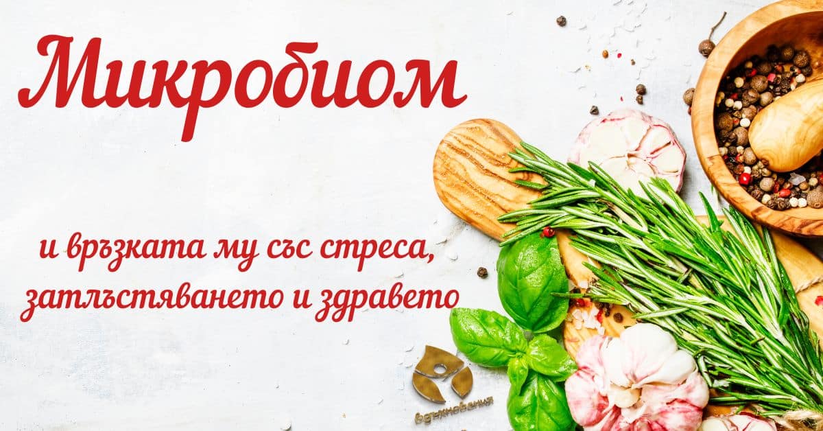 Микробиом-и-стреса