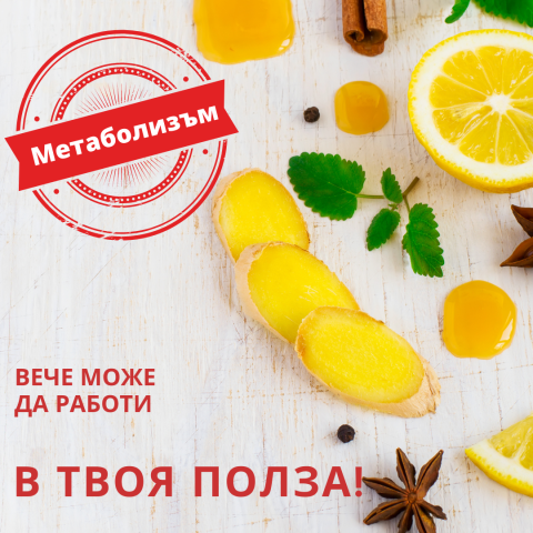 Метаболизъм