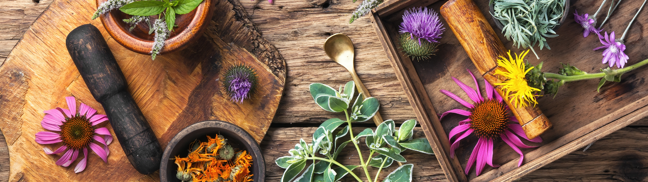 herbs-hair-loss