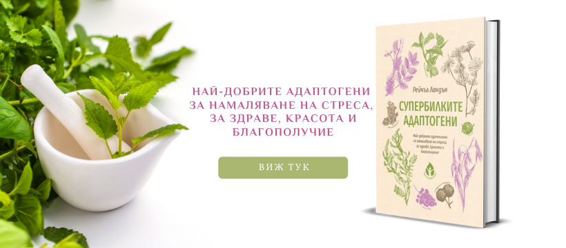 https://stage.vdahnovenia.bg/%d0%ba%d0%bd%d0%b8%d0%b3%d0%b8/%d0%b7%d0%b4%d1%80%d0%b0%d0%b2%d0%b5-%d0%be%d1%82-%d0%bf%d1%80%d0%b8%d1%80%d0%be%d0%b4%d0%b0%d1%82%d0%b0/%d1%81%d1%83%d0%bf%d0%b5%d1%80%d0%b1%d0%b8%d0%bb%d0%ba%d0%b8%d1%82%d0%b5-%d0%b0%d0%b4%d0%b0%d0%bf%d1%82%d0%be%d0%b3%d0%b5%d0%bd%d0%b8/ superbilki-adaptogeni-baner