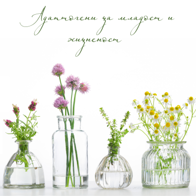 adaptogeni-za-mladost-i-jiznenost