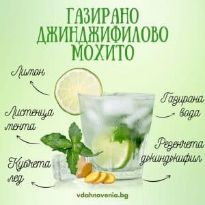 ГАЗИРАНО ДЖИНДЖИФИЛОВО МОХИТО