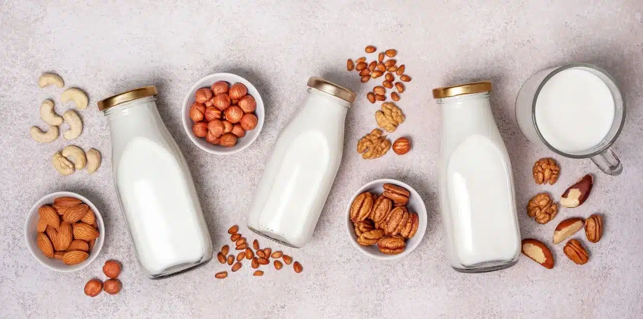 vegan-nut-milk