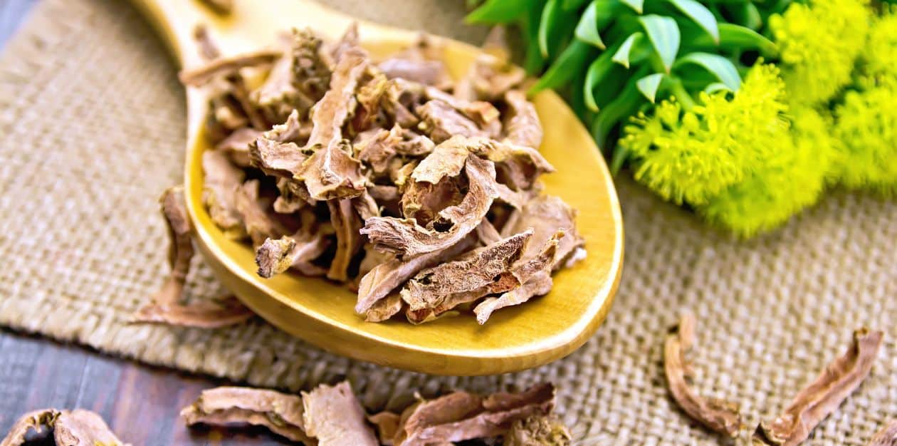 Rhodiola_ rosea_zlaten_koren